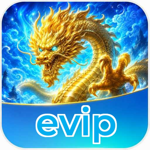 Audit profile evip